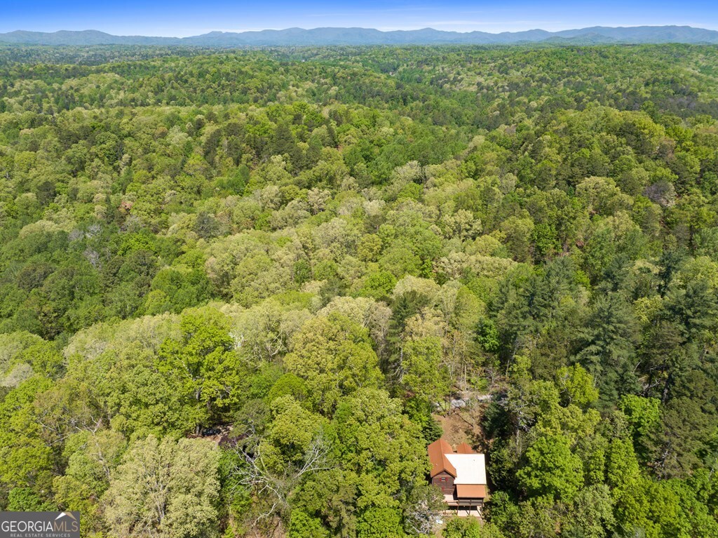 Lot 560 Chattle Way Ellijay, GA 30540 - Photo 5 of 26 a view of a field with an outdoor space