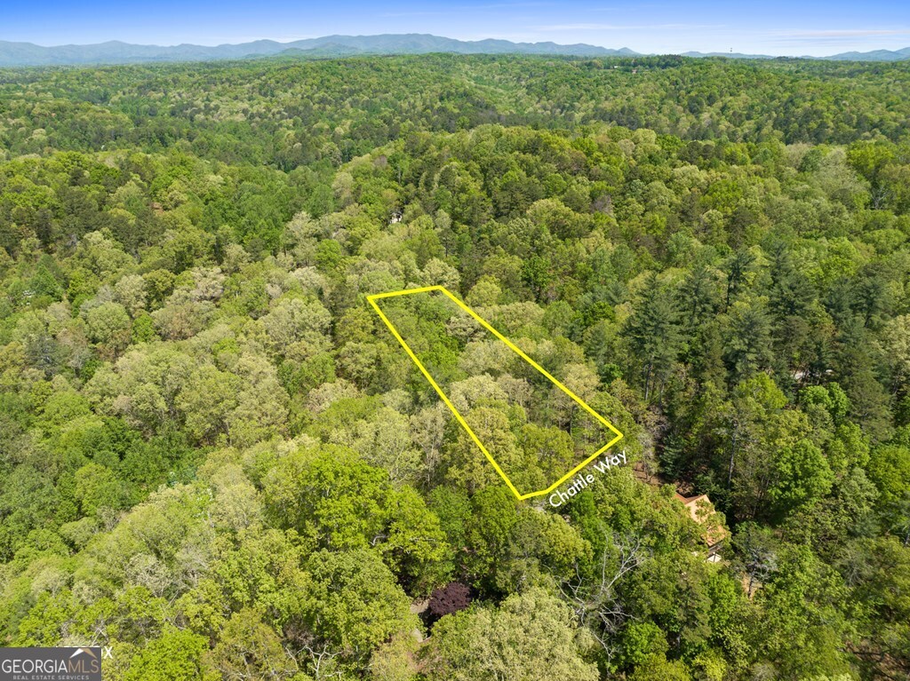 Lot 560 Chattle Way Ellijay, GA 30540 - Photo 6 of 26 a view of a field of grass and trees