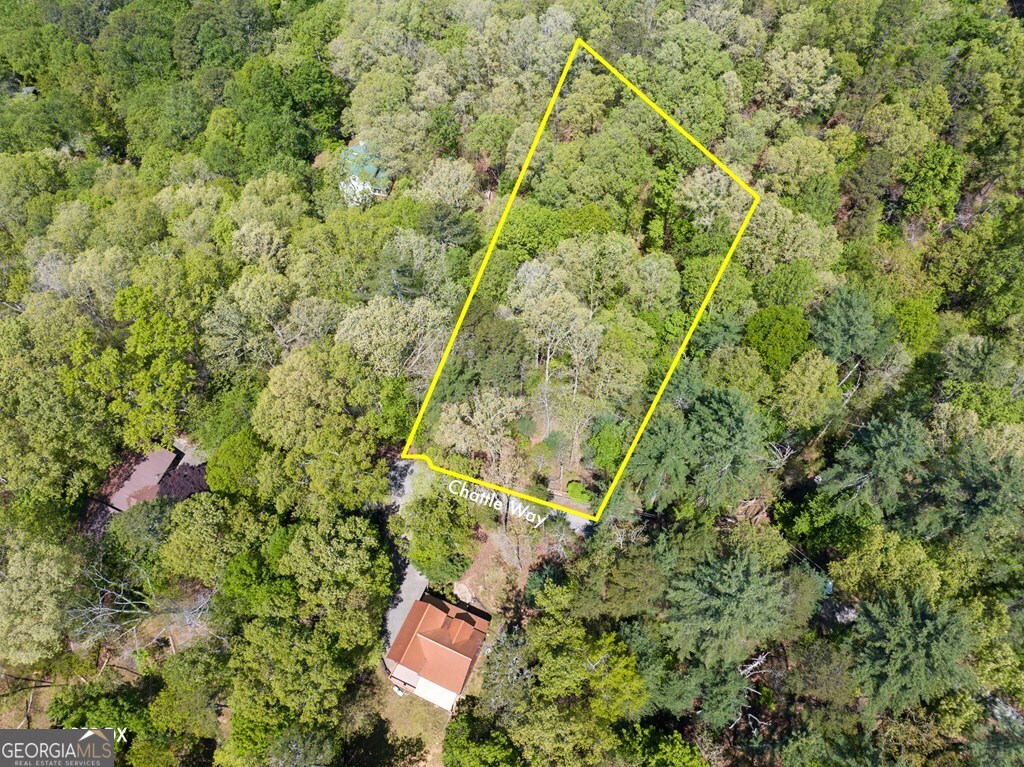 Lot 560 Chattle Way Ellijay, GA 30540 - Photo 8 of 26 a view of a yard