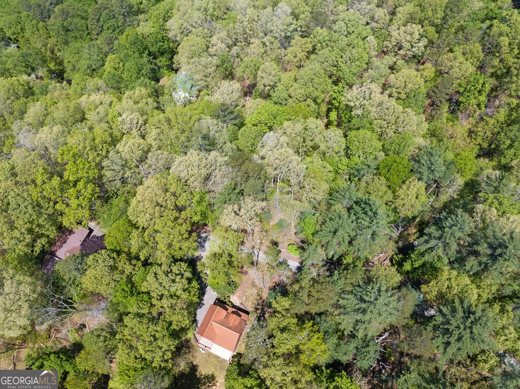 Lot 560 Chattle Way Ellijay, GA 30540 - Photo 9 of 26 a view of a house with a backyard