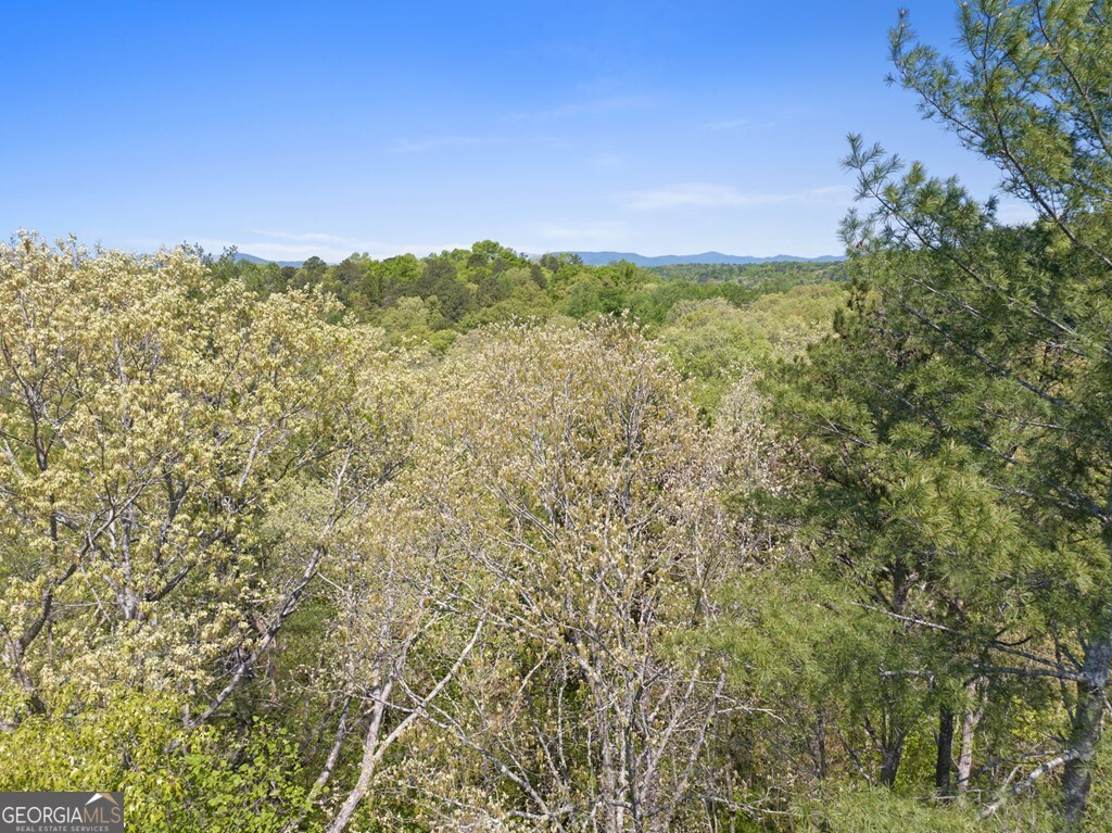 Lot 560 Chattle Way Ellijay, GA 30540 - Photo 10 of 26 a view of a city