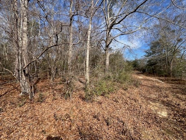 14-ac Potter Road Opp, AL 36467 - Photo 37 of 42 Gallery Image 37