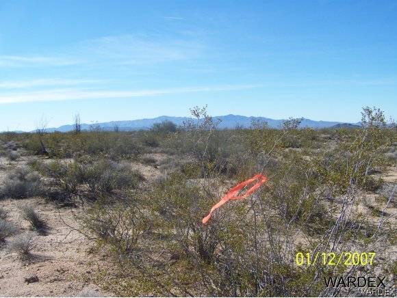 31 Alamo Road Yucca, AZ 86438 - Photo 2 of 4