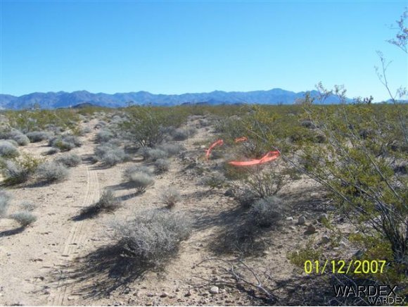 31 Alamo Road Yucca, AZ 86438 - Photo 4 of 4