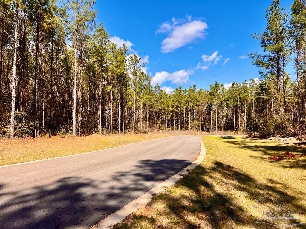 Lot 16-sw Bashi Road Pace, FL 32571 - Photo 14 of 23