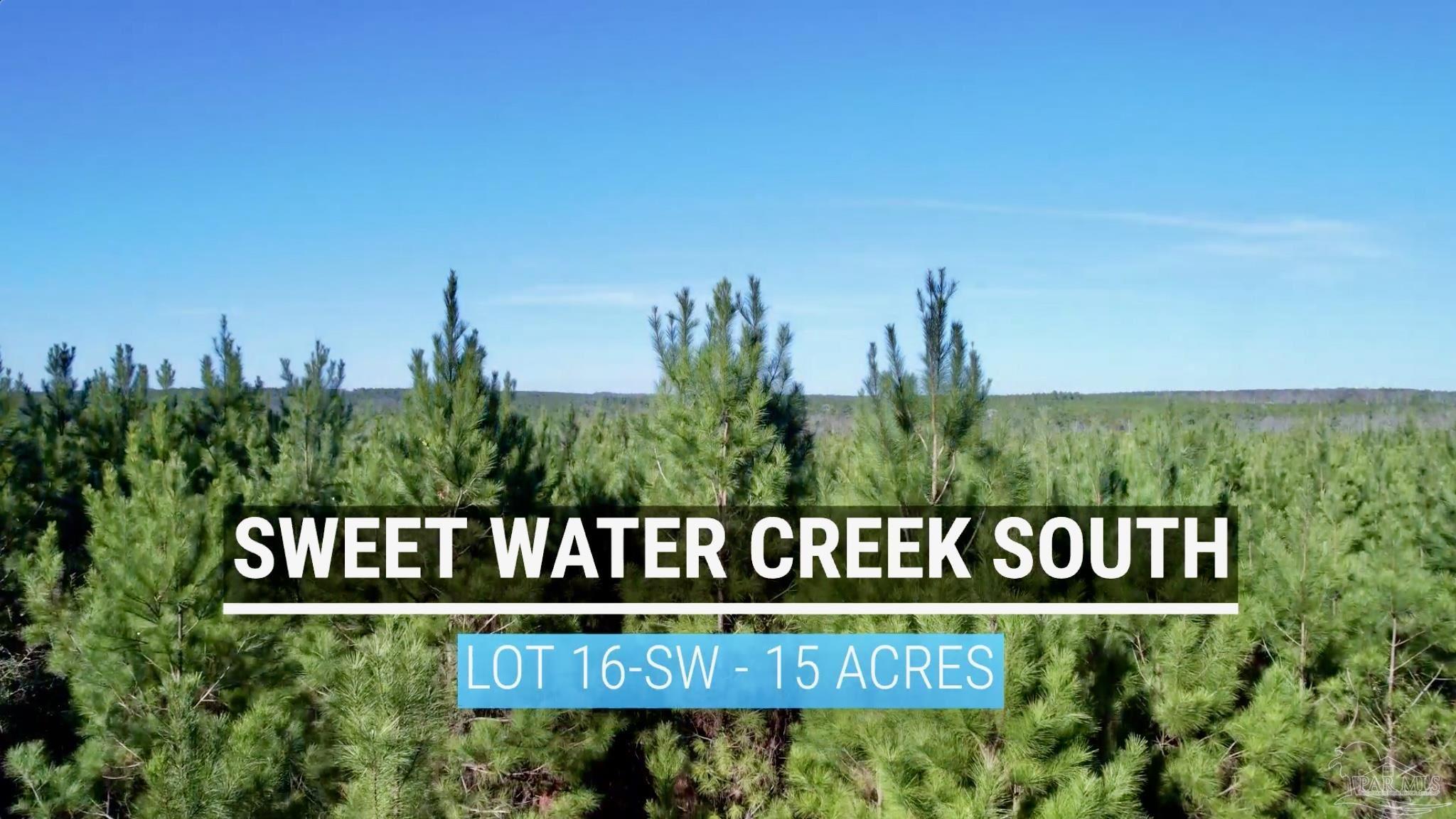 Lot 16-sw Bashi Road Pace, FL 32571 - Photo 6 of 23