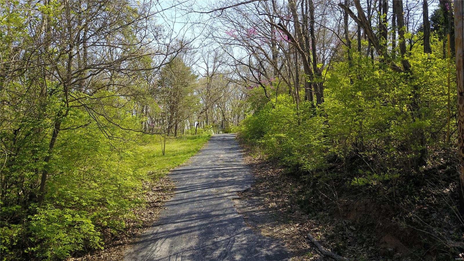12480 Robyn Road Sunset Hills, MO 63127 - Photo 15 of 18 Gallery Image 15