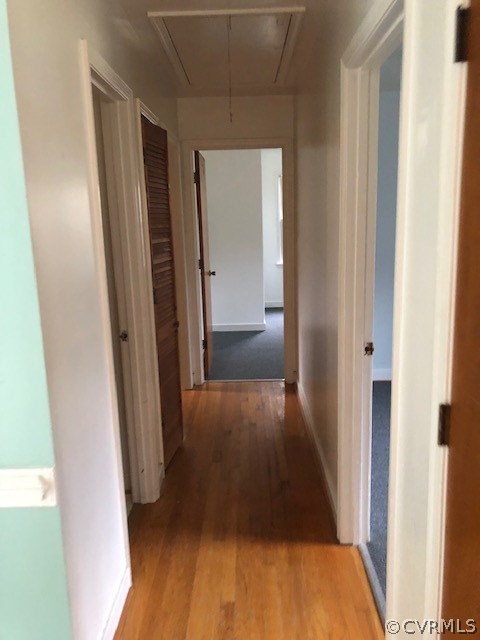552 Apple Grove Road Mineral, VA 23117 - Photo 10 of 18 Gallery Image 10