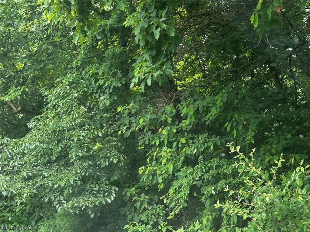 5742 Grove Road Clinton, OH 44216 - Photo 27 of 37 Woods Entrance
