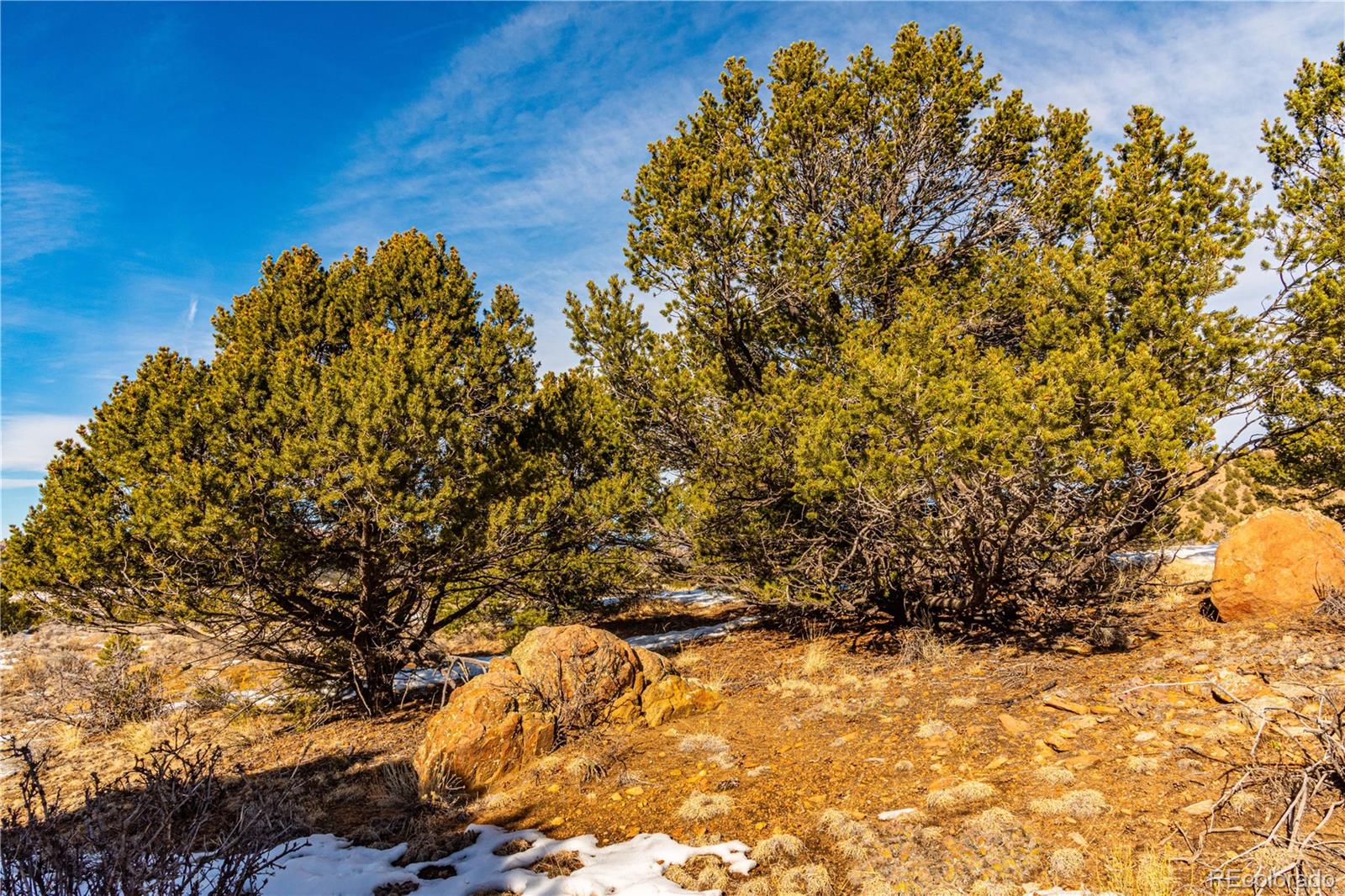 740 Dilley Road Westcliffe, CO 81252 - Photo 11 of 35 a view of a yard
