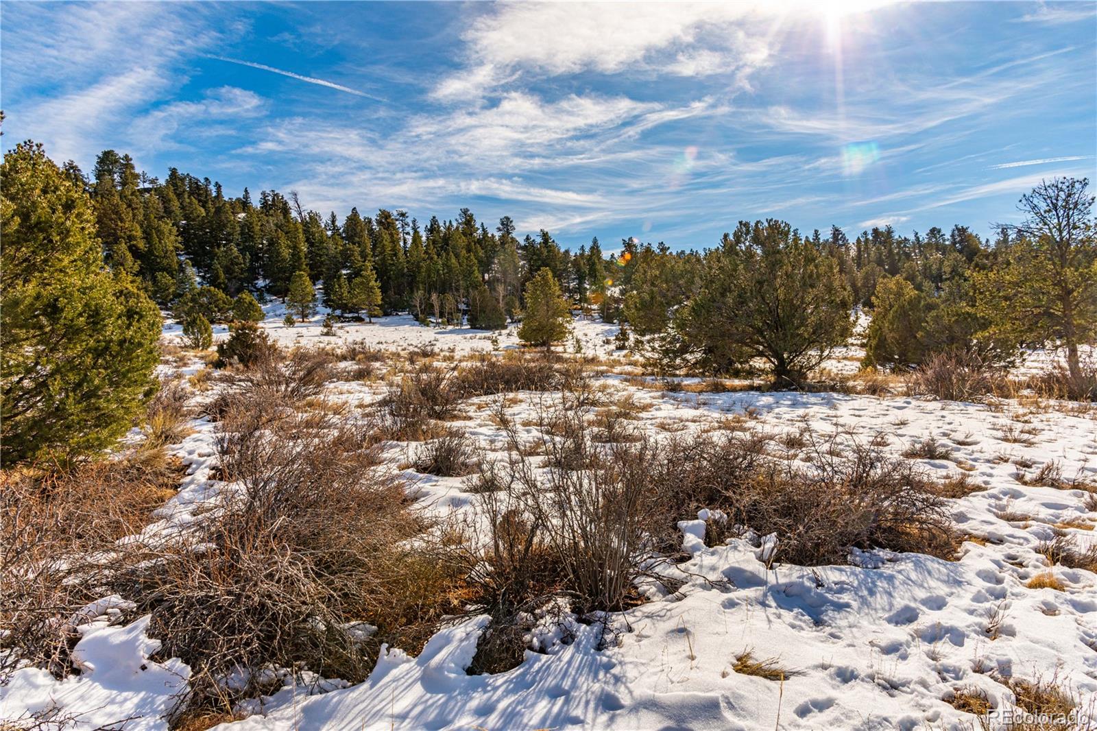 740 Dilley Road Westcliffe, CO 81252 - Photo 15 of 35 a view of a covered with snow in the background