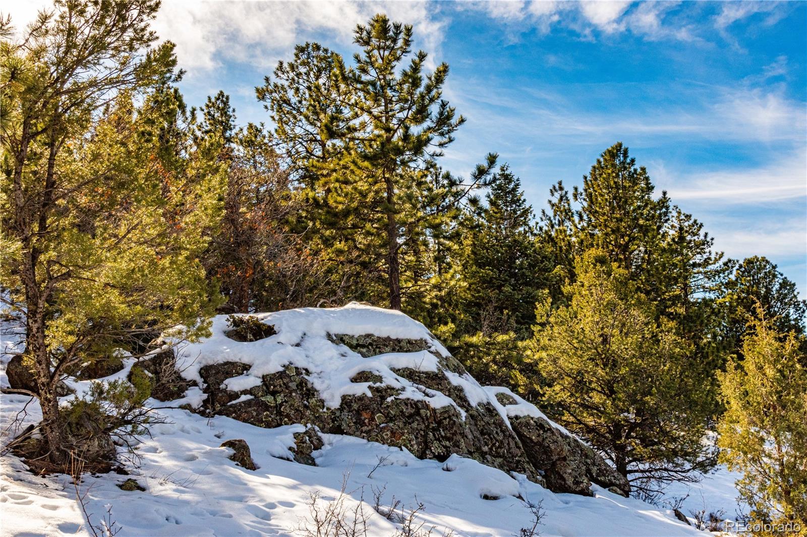 740 Dilley Road Westcliffe, CO 81252 - Photo 20 of 35 a view of a backyard of the house