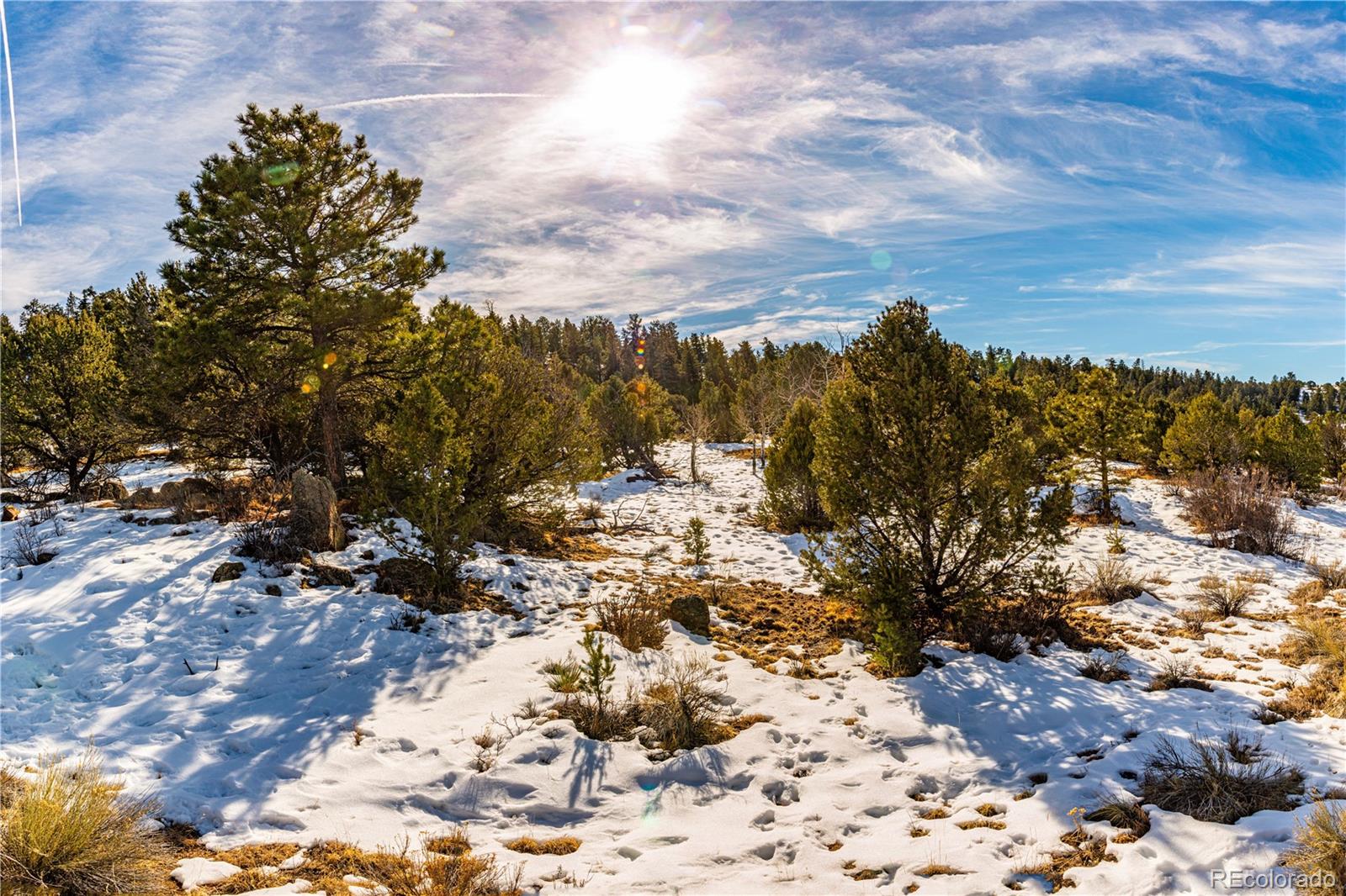 740 Dilley Road Westcliffe, CO 81252 - Photo 10 of 35