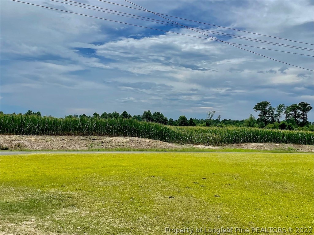 252 Braswell Road Rowland, NC 28383 - Photo 4 of 18 Gallery Image 4