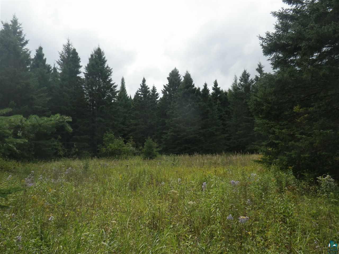 316 Toimi Road Brimson, MN 55602 - Photo 9 of 12 Gallery Image 9