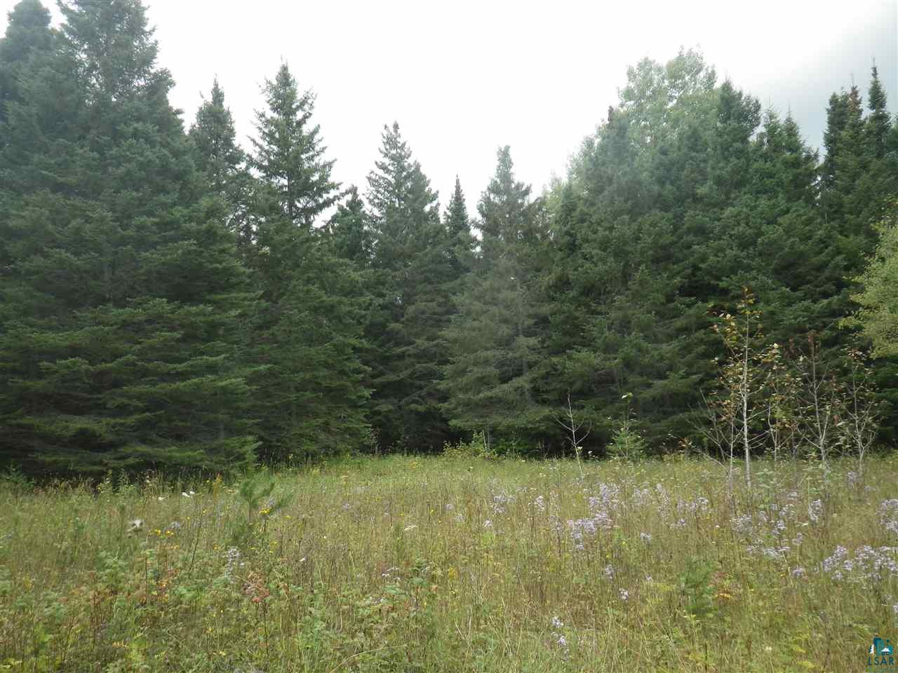 316 Toimi Road Brimson, MN 55602 - Photo 10 of 12 Gallery Image 10