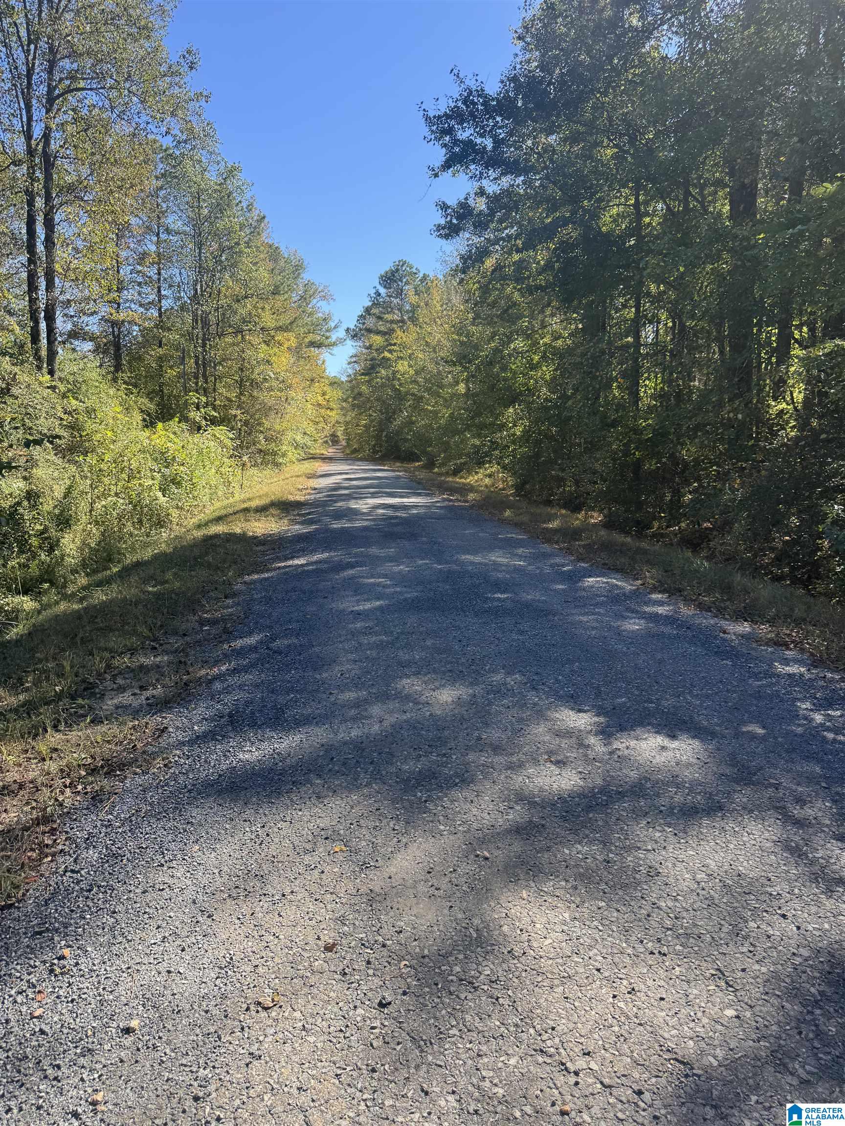 2075 Turkey Pen Road, Unit 1 Cragford, AL 36255 - Photo 4 of 6