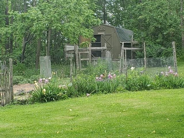 1310 Carlson Road Frankfort, MI 49635 - Photo 34 of 34 1891398-36.JPG