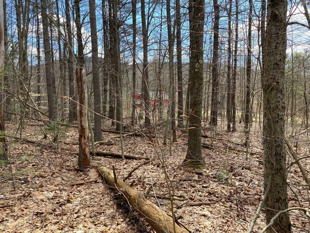 142 Flower Hill Road Warwick, MA 01378 - Photo 6 of 35