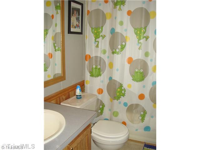 897 Pratt Road Ararat, NC 27007 - Photo 11 of 16 Bath.