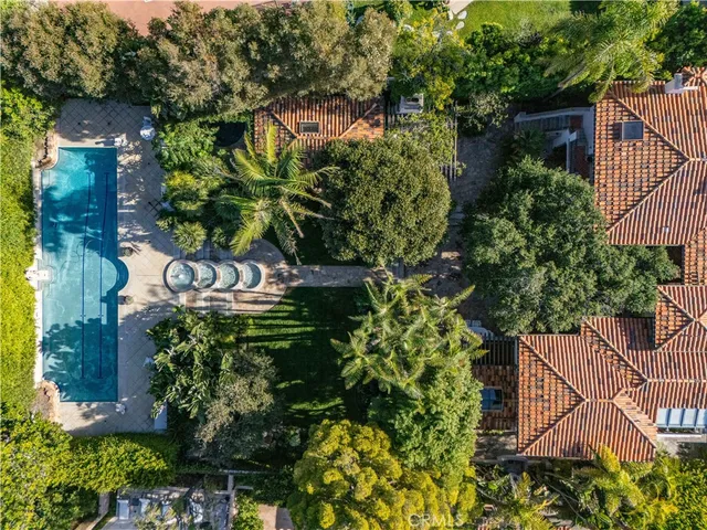 a view of a flower in a garden