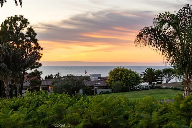 a view of a garden with palm trees