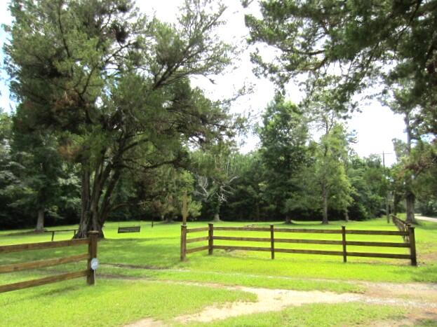 1730 French Santee Road Jamestown, SC 29453 - Photo 23 of 38 IMG_8920
