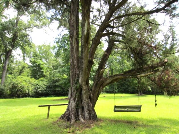 1730 French Santee Road Jamestown, SC 29453 - Photo 24 of 38 IMG_8921