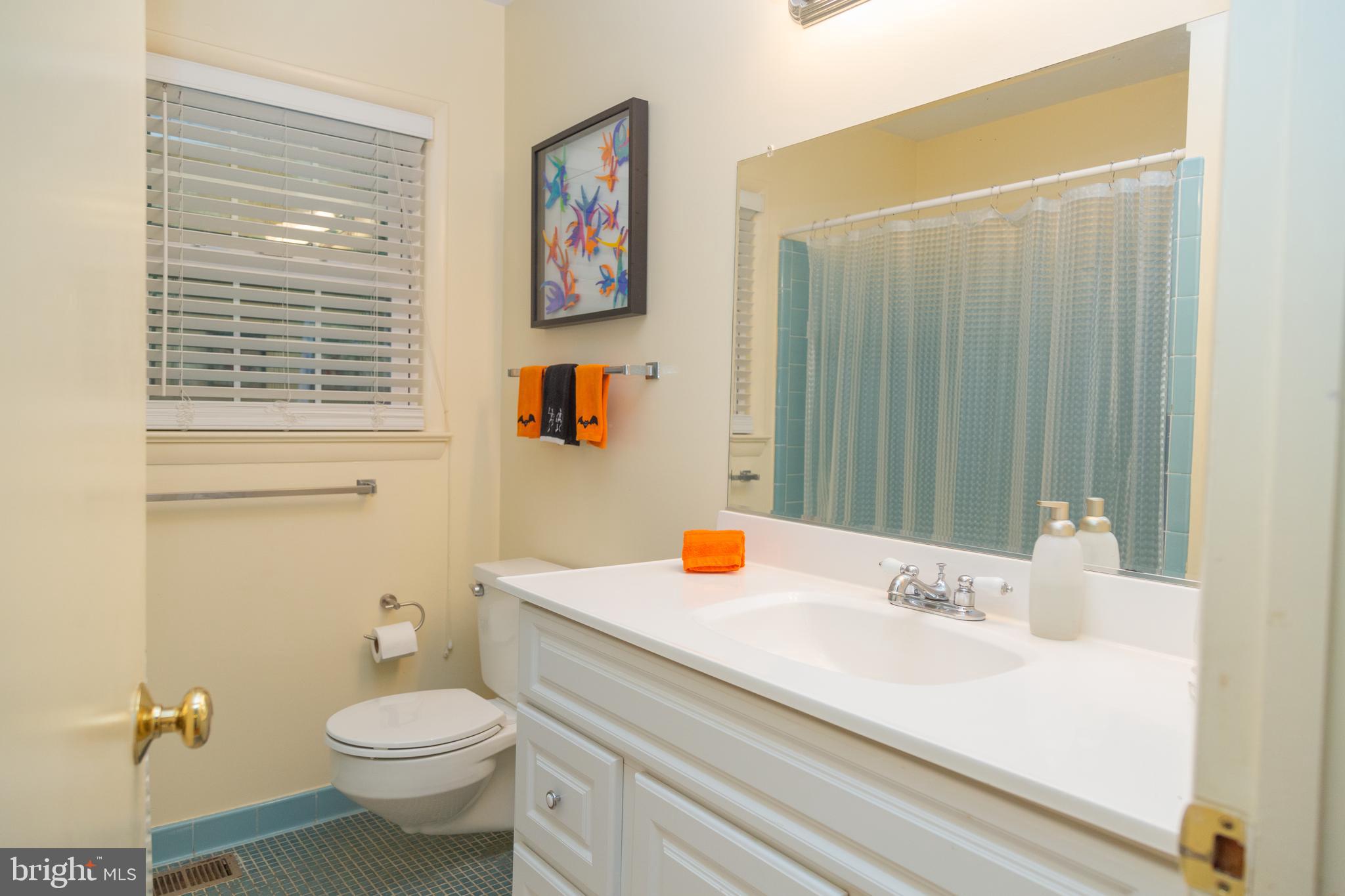 500 Springvale Road Great Falls, VA 22066 - Photo 46 of 52 Hall Bathroom