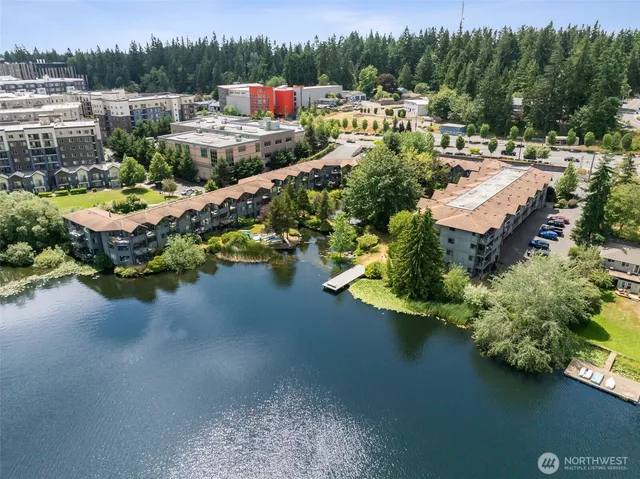 a view of a lake with lawn chairs and large trees