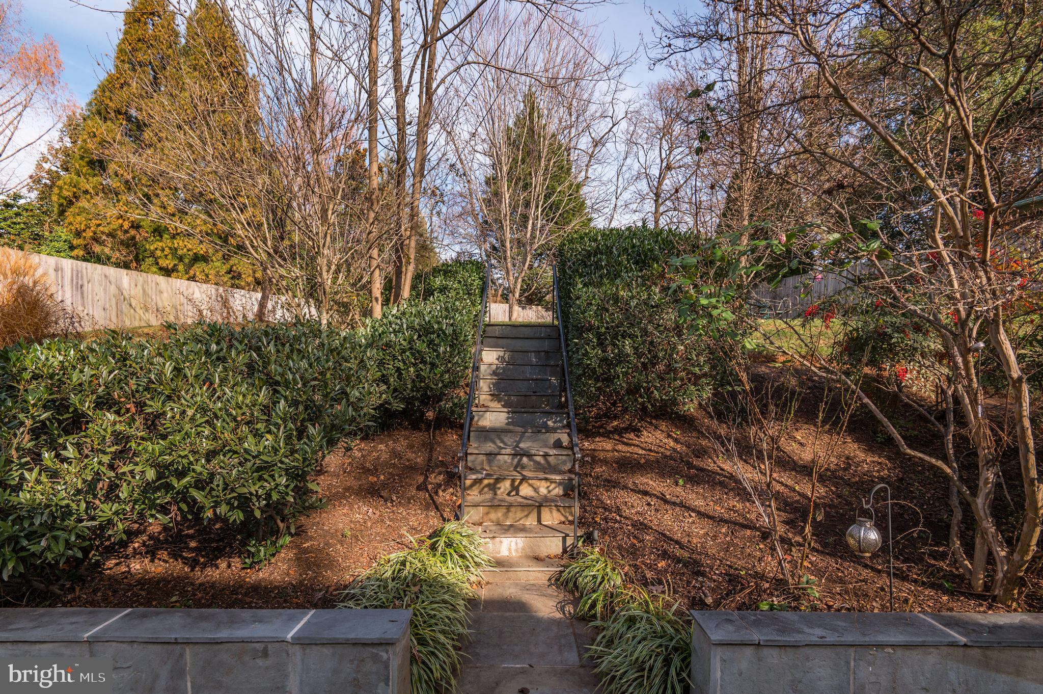 1709 Kalmia Road Northwest Washington, DC 20012 - Photo 33 of 37 Gallery Image 33