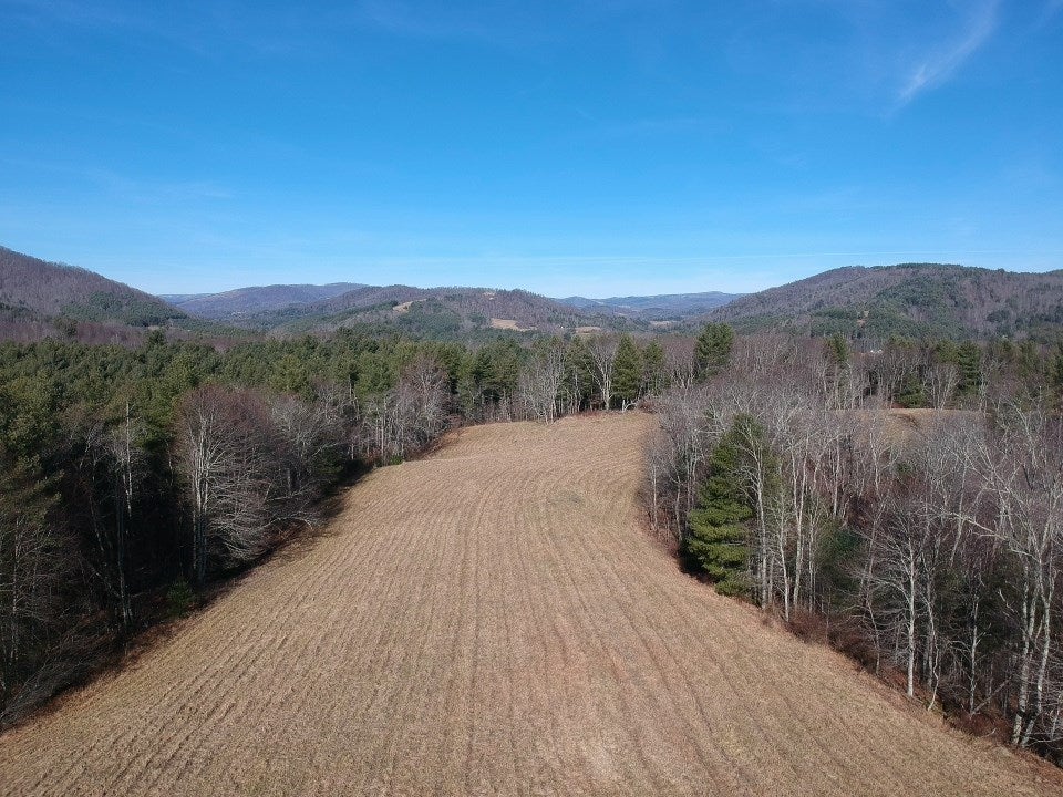 Tbd Fox Ridge Road Mouth Of Wilson, VA 24363 - Photo 16 of 17 Gallery Image 16