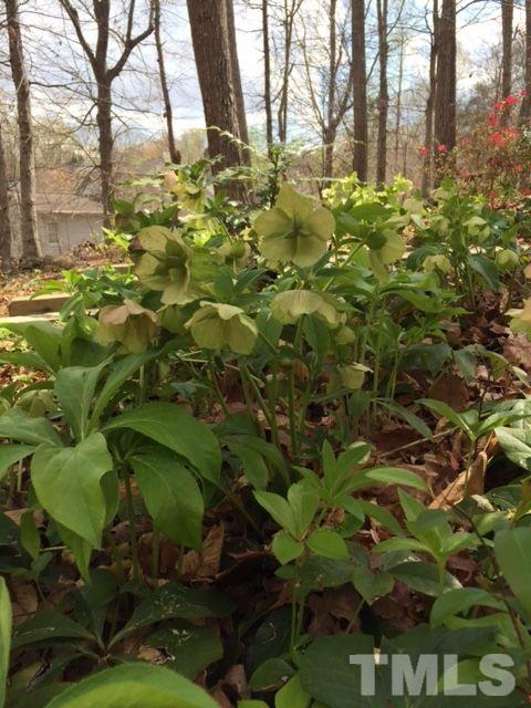 8600 Valley Brook Drive Raleigh, NC 27613 - Photo 18 of 25 a backyard of a building