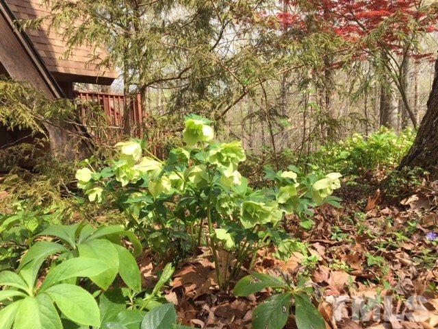 8600 Valley Brook Drive Raleigh, NC 27613 - Photo 22 of 25 a view of a tree
