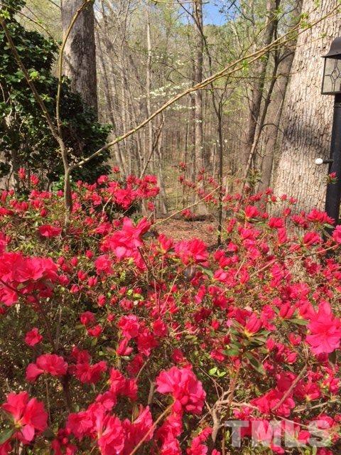 8600 Valley Brook Drive Raleigh, NC 27613 - Photo 24 of 25 a picture of flowers