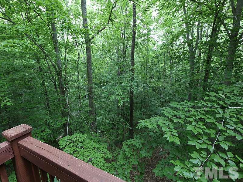 8600 Valley Brook Drive Raleigh, NC 27613 - Photo 9 of 25 a view of a forest with a forest