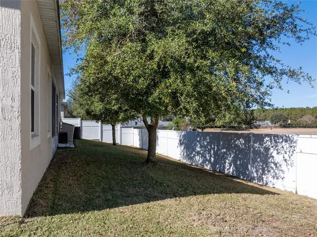 a view of a garden with a bench