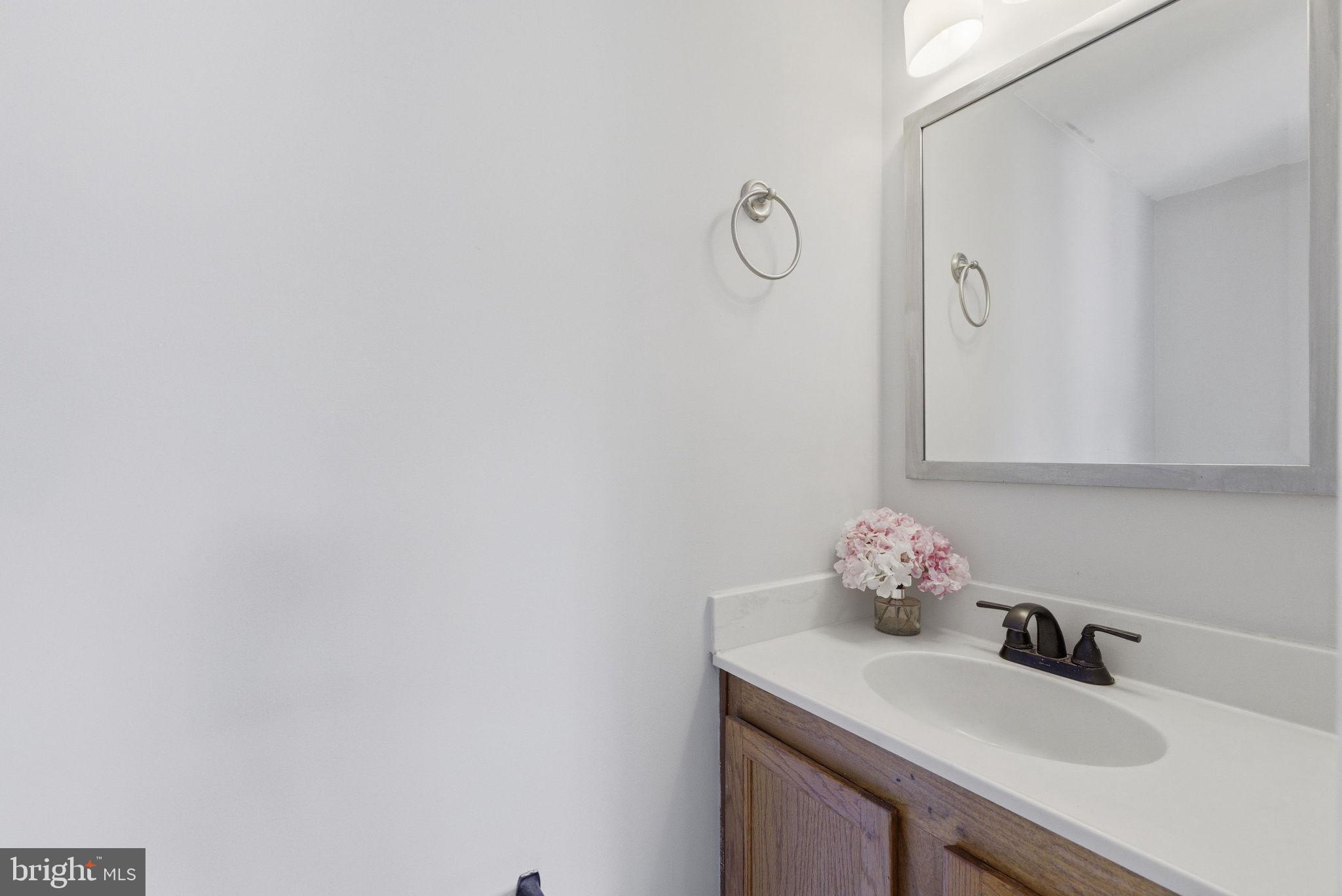14688 Basingstoke Loop Centreville, VA 20120 - Photo 15 of 34 a bathroom with a sink and a mirror