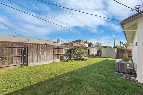a view of a backyard with plants and large trees