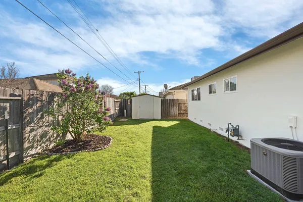 a view of a backyard with plants and a patio