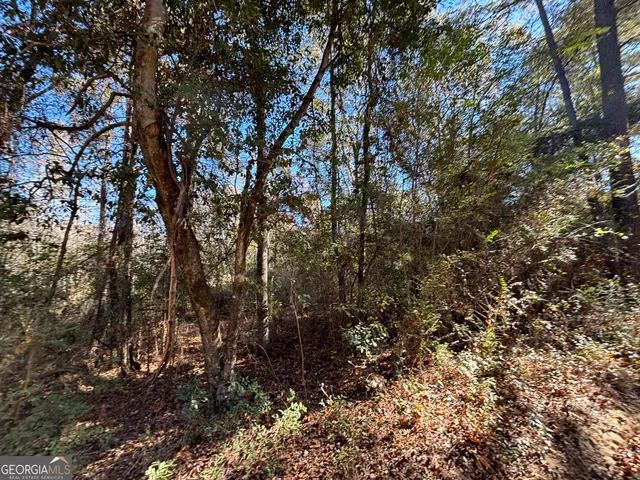 $18,000 | Parcel Julian-Simpson Road, Cochran, GA 31014