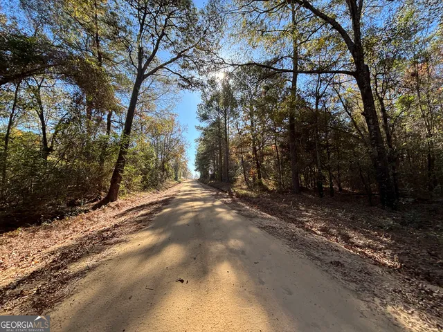 $18,000 | Parcel Julian-Simpson Road, Cochran, GA 31014