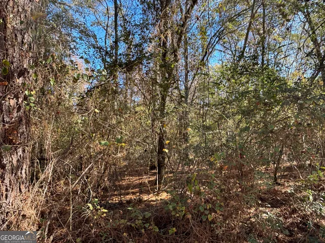 $18,000 | Parcel Julian-Simpson Road, Cochran, GA 31014