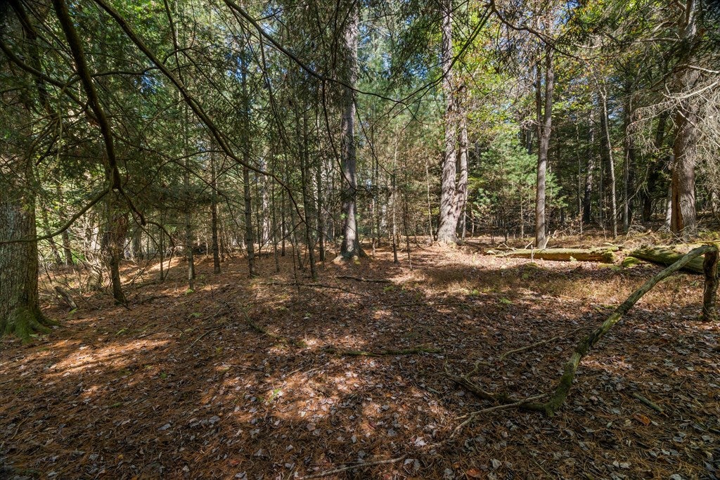 1403 River Road Cooksburg, PA 16217 - Photo 45 of 64 Gallery Image 45