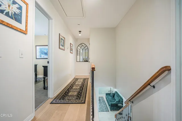 a view of a bunch of flowers and trees