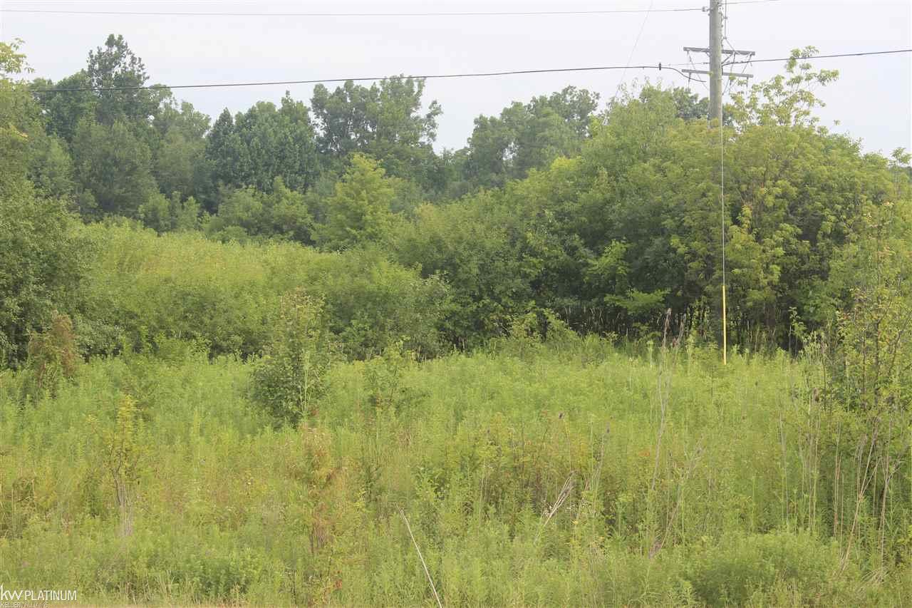 Nwc Nwc Ridge Canton, MI 48187 - Photo 2 of 28