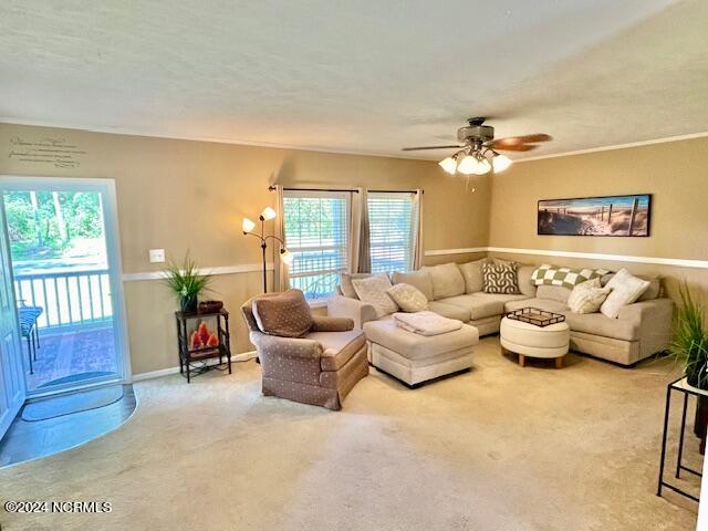 127 New Liberty Road New Bern, NC 28562 - Photo 13 of 28 living room