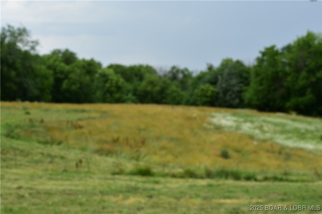 31212 East Webster Road Grain Valley, MO 64029 - Photo 15 of 48 Acreage