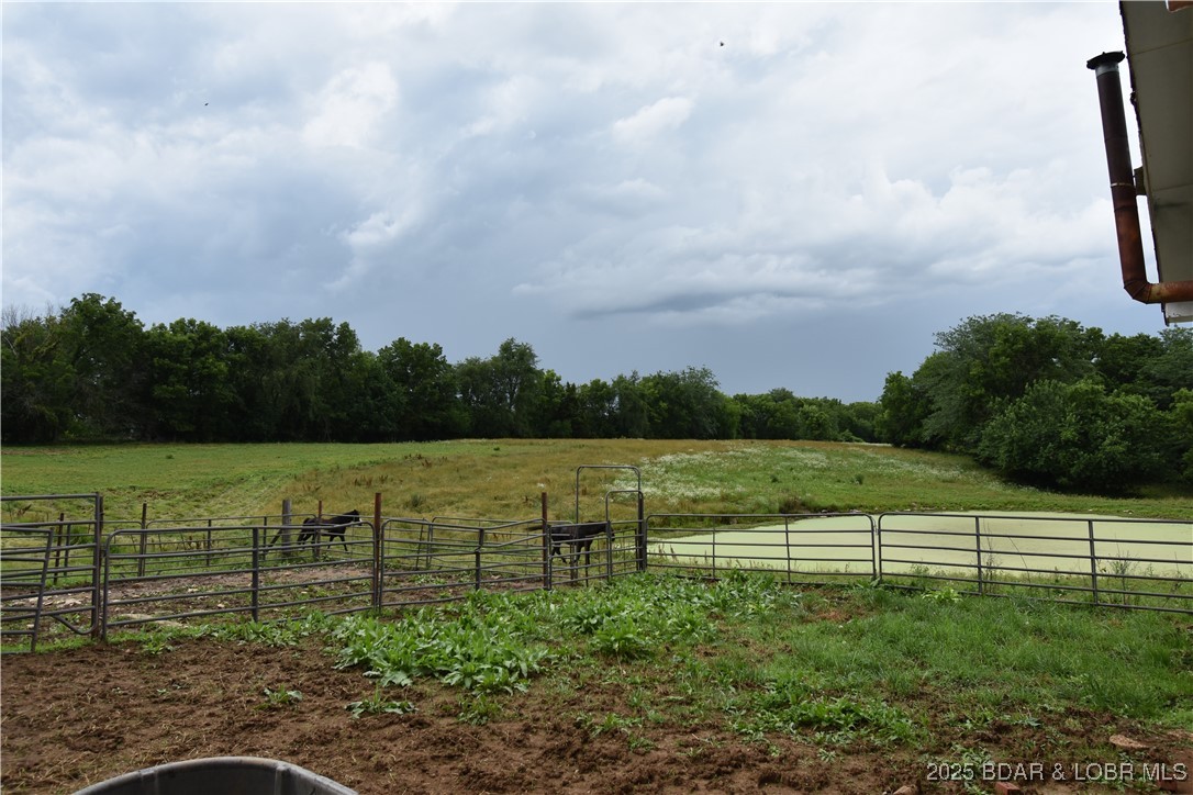 31212 East Webster Road Grain Valley, MO 64029 - Photo 20 of 48 Pond & acreage