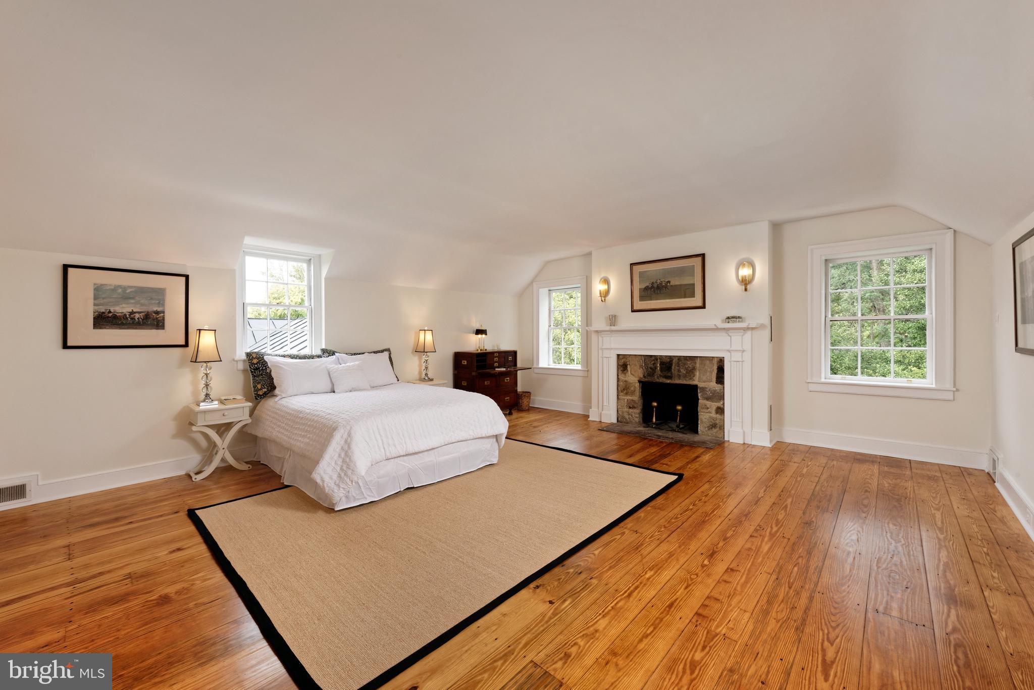 20532 Trappe Road Upperville, VA 20184 - Photo 17 of 63 Primary bedroom suite has lots of light &fireplace